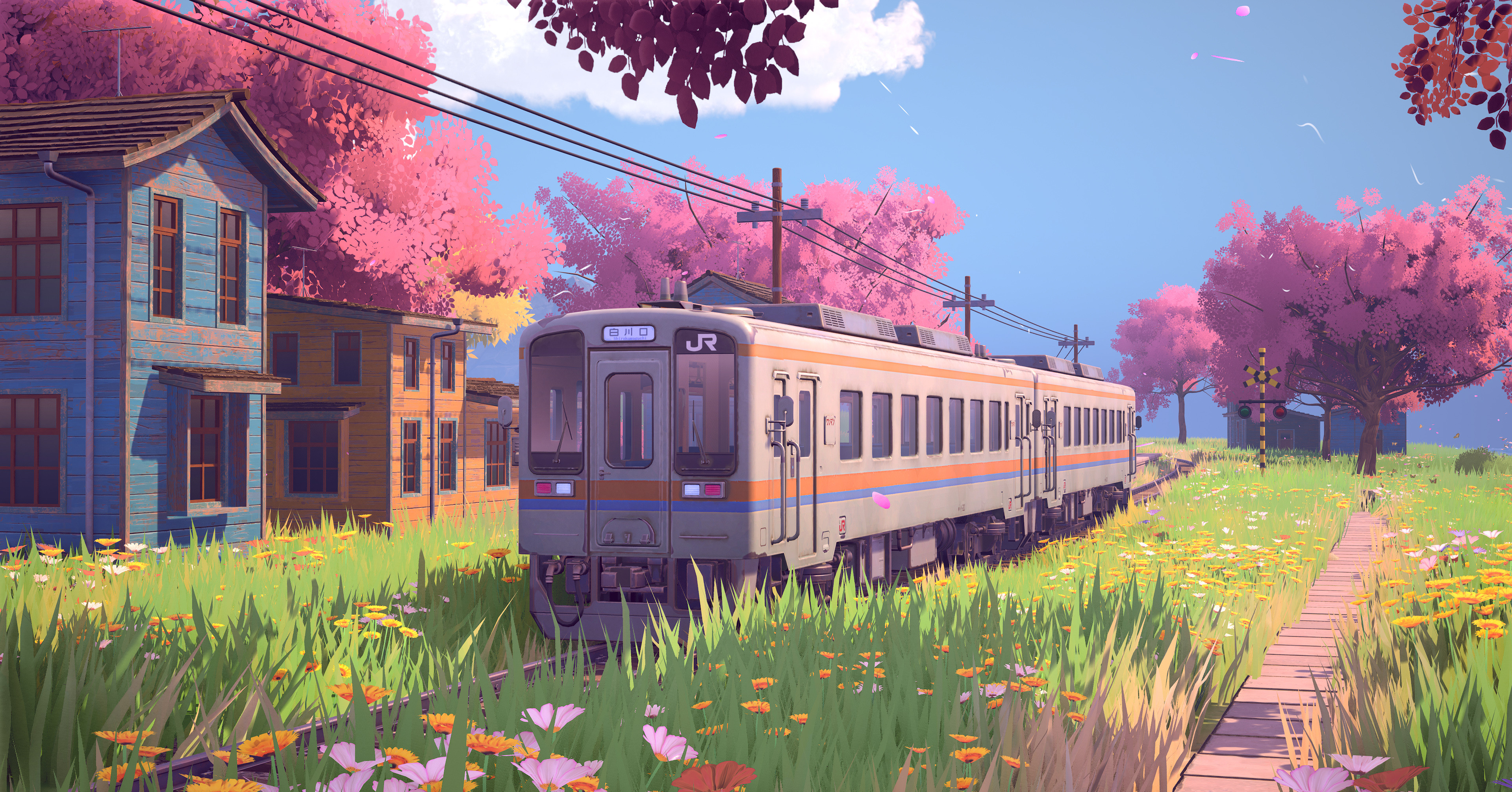 train